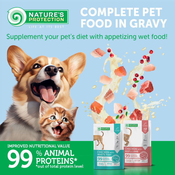 canned pet food with chicken and lamb for adult dogs - 2