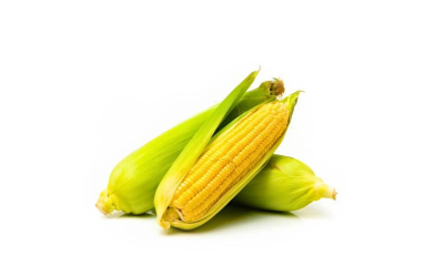 Corn Corn