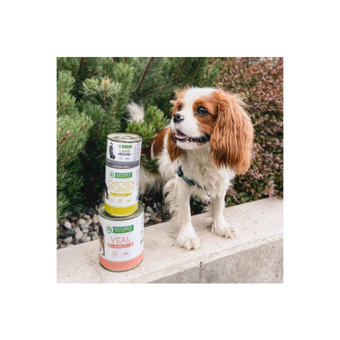 Canned food for dogs - 4