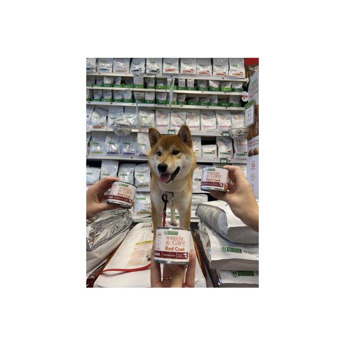 Red Coat complementary feed - soup for adult dogs of all breeds with salmon and tuna - 7