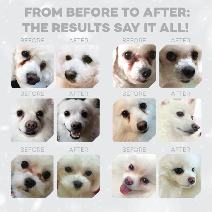 dry grain free food for adult dogs of small breeds with white coat, with herring  - 13
