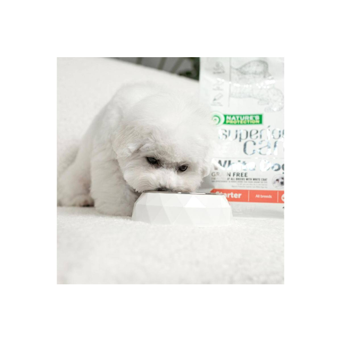 dry grain free food for puppies of all breeds with white coat, with salmon - 7