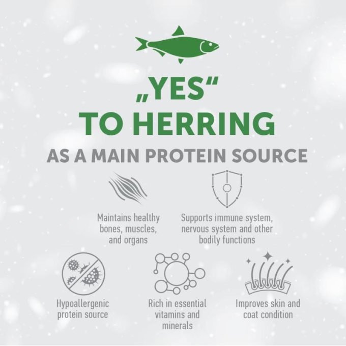 dry grain free food for adult dogs of small breeds with white coat, with herring  - 1