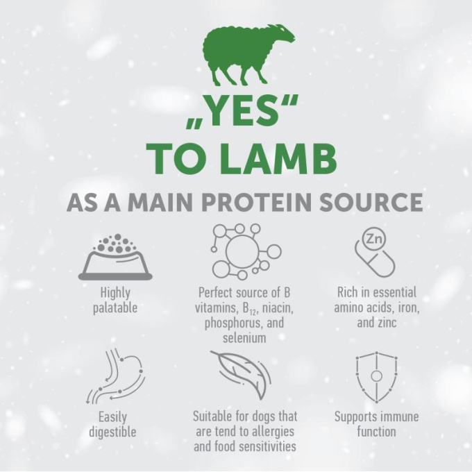 dry grain free food for adult dogs of all breeds with red coat, with lamb  - 3