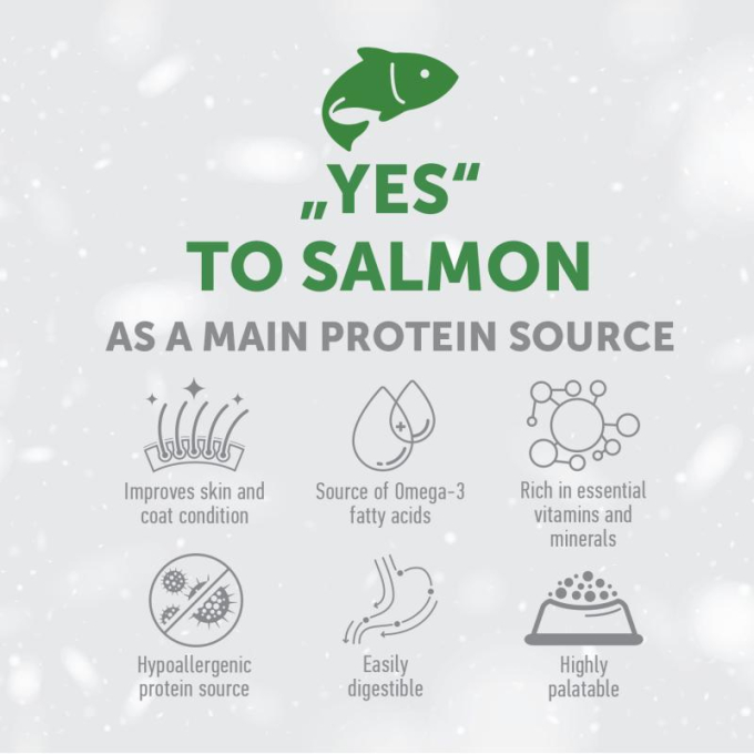 dry grain free food for puppies of all breeds with white coat, with salmon - 5
