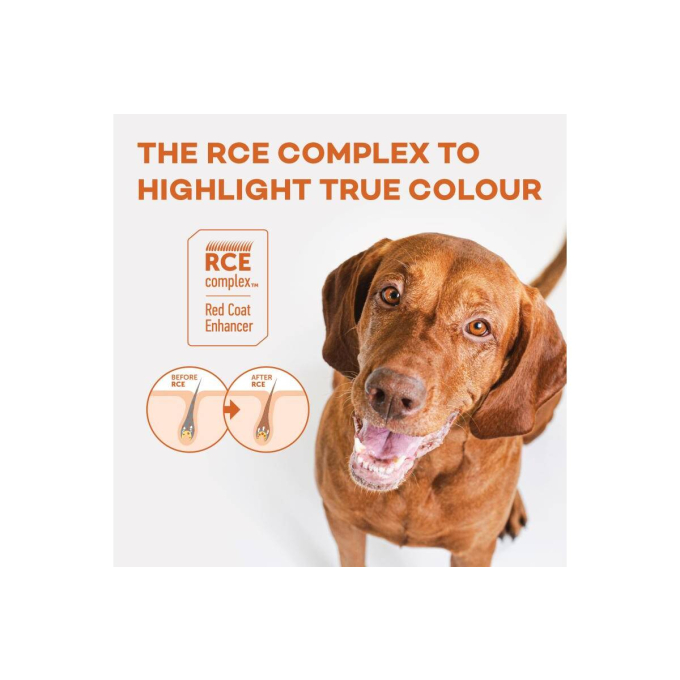 dry grain free food for junior dogs of small breeds with red coat, with salmon - 6