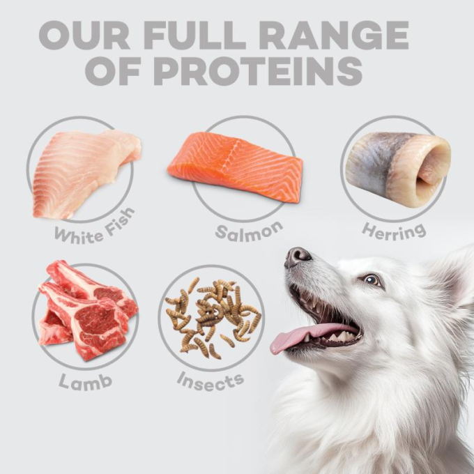dry grain free food for adult dogs of small breeds with white coat, with herring  - 14