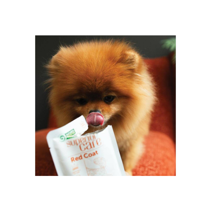 wet food supplement with tuna for adult red-coated dogs of all breeds - 5