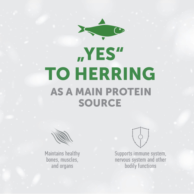 dry grain free pet food with herring for adult all breed cats with red coat - 4