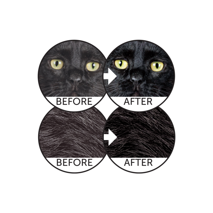 dry grain free pet food with herring for adult all breed cats with dark coat - 7