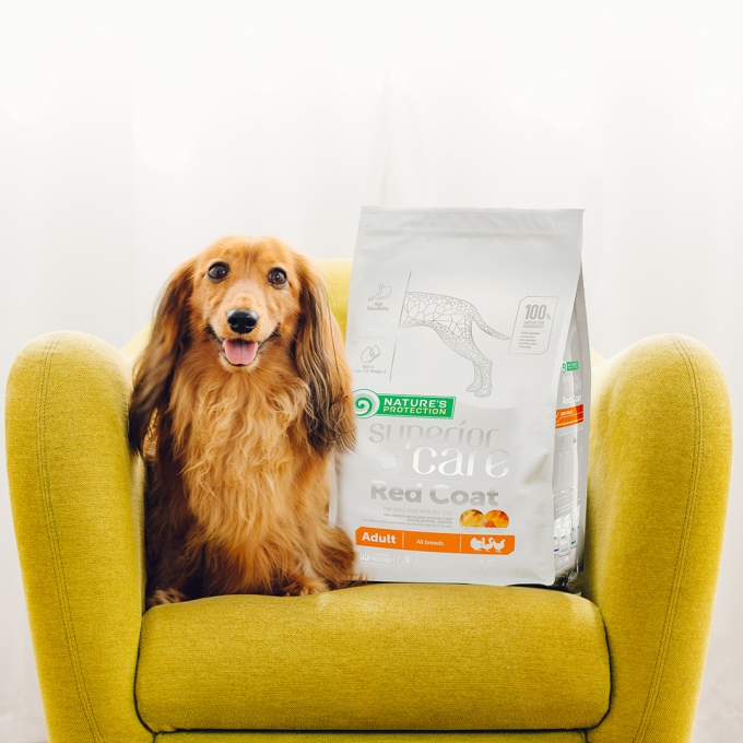 dry food for adult, all breed dogs with red coat with poultry - 4