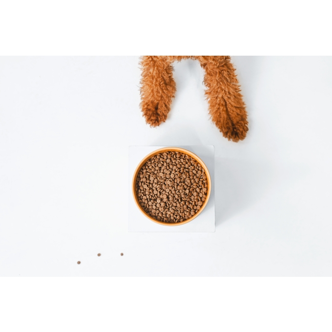 Sample Red Coat Grain Free Salmon Adult Small Breed dry food for dogs - 6