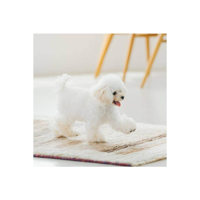 dry food for adult dogs of all breeds with sensitive skin and stomach, with lamb - 6