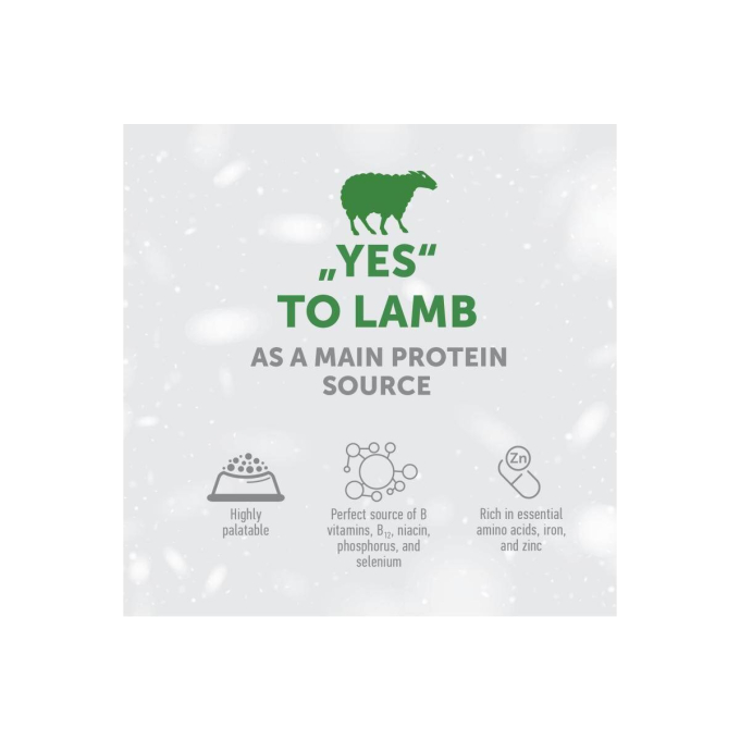 dry food for adult dogs of all breeds with sensitive skin and stomach, with lamb - 3