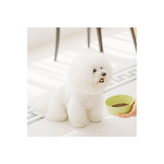 dry food for adult dogs of small breeds with sensitive skin and stomach, with lamb - 6