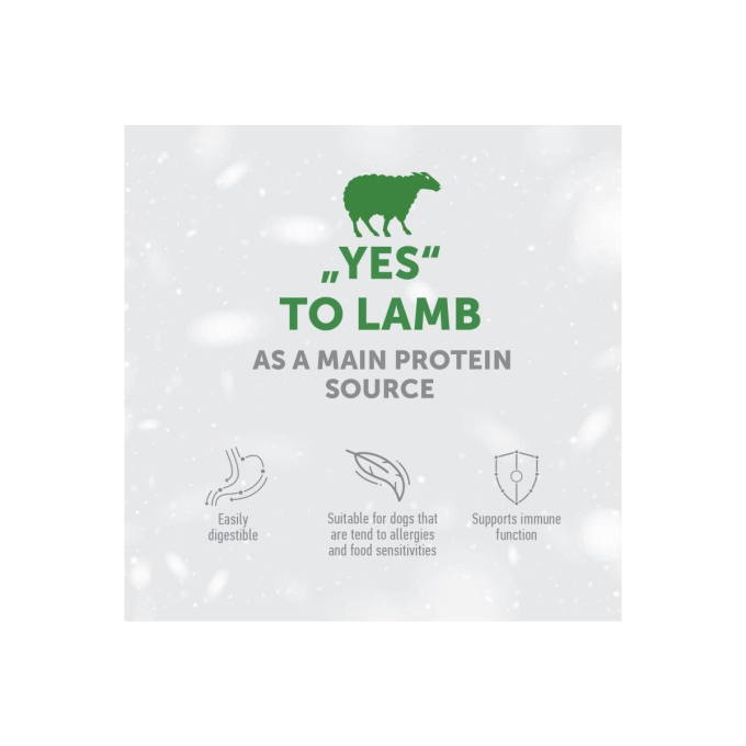 dry food for adult dogs of small breeds with sensitive skin and stomach, with lamb - 2