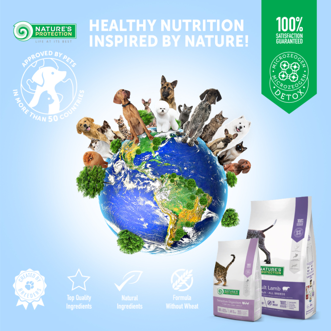 dry food for senior dogs of small breeds with poultry - 5