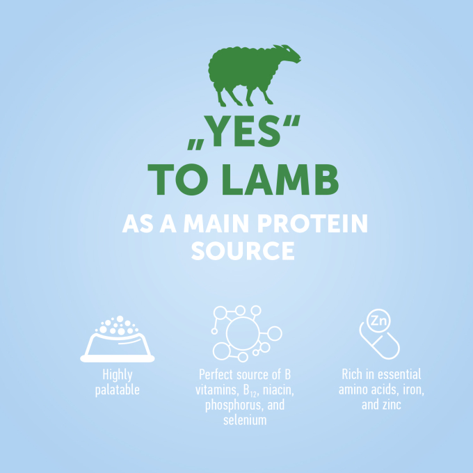 dry food for junior all breed dogs with lamb - 3