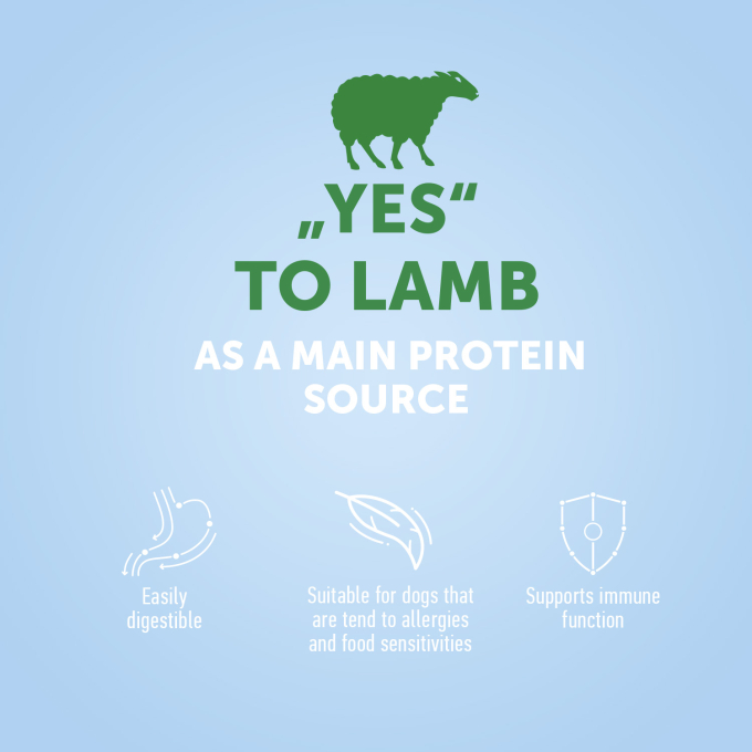 dry food for junior all breed dogs with lamb - 4