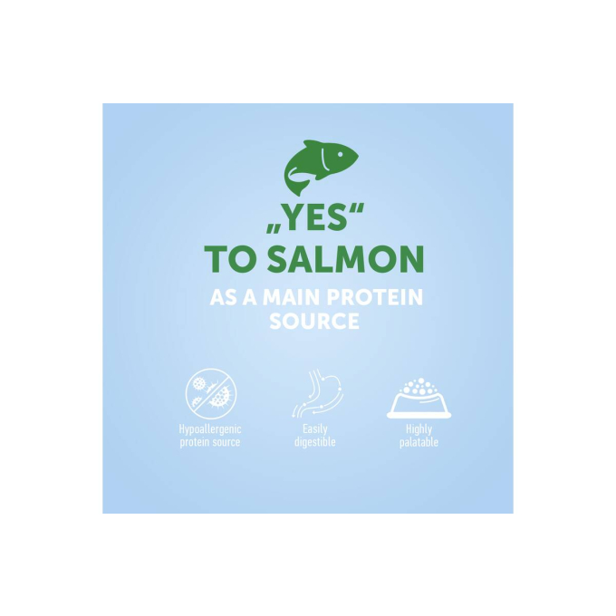 dry food for adult dogs of all breeds with salmon - 4