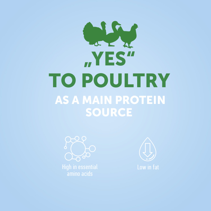 dry dietetic food for adult cats with poultry - 3