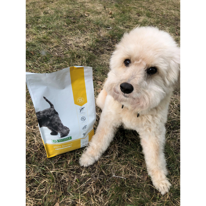 dry food for senior dogs of small breeds with poultry - 9