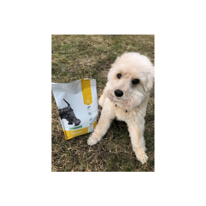 dry food for senior dogs of small breeds with poultry - 9