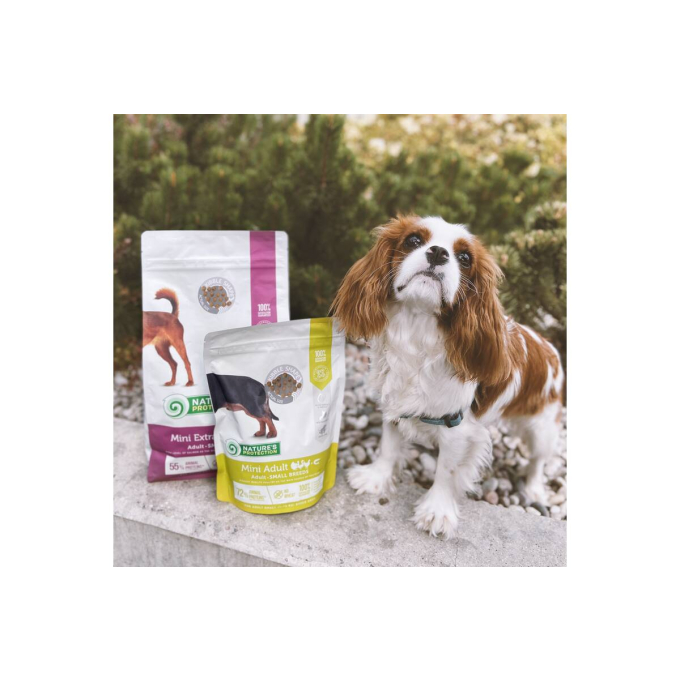 dry food for adult small breed dogs with salmon - 8