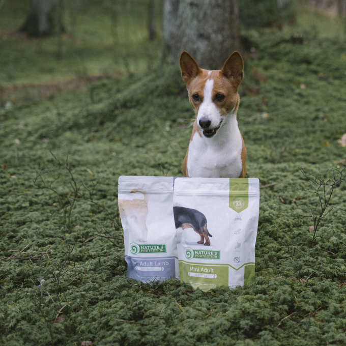 dry food for adult small breed dogs with poultry and krill - 11