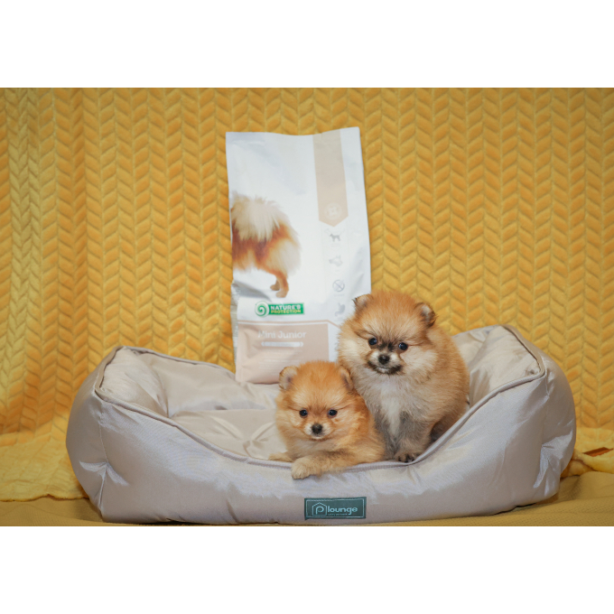 dry food for junior small breed dogs with poultry - 9