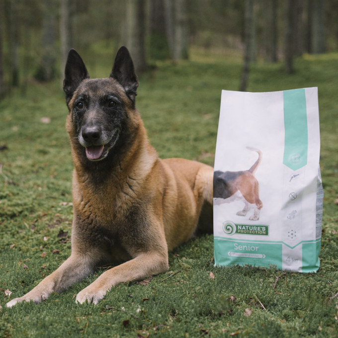 dry food for senior dogs of all breeds with poultry - 8