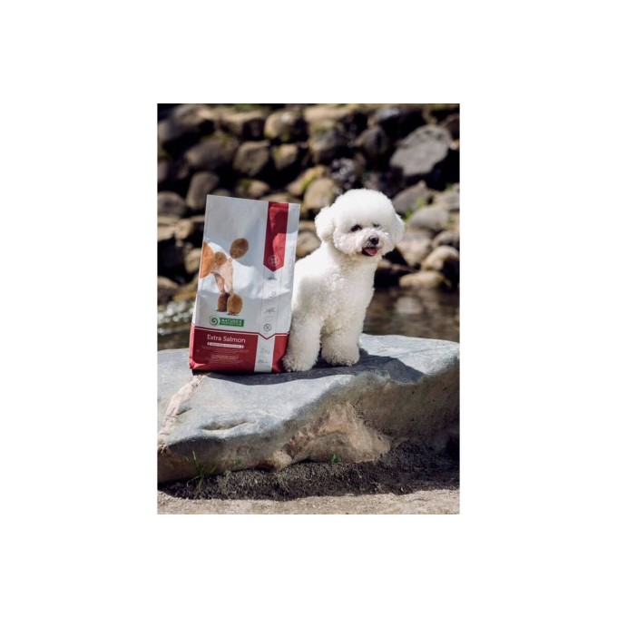 dry food for adult dogs of all breeds with salmon - 9