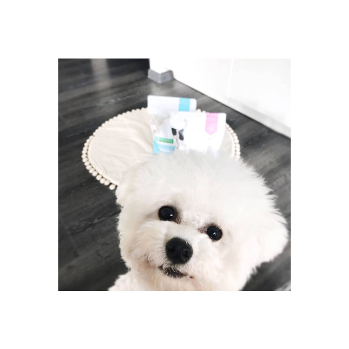 dry food for junior all breed dogs with poultry - 9