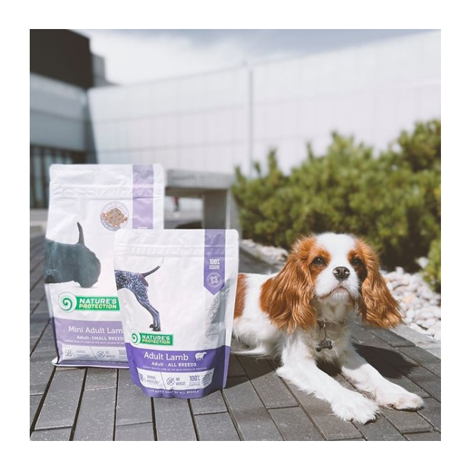dry food for adult dogs of all breeds with lamb - 9