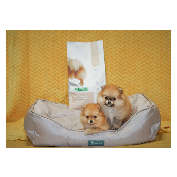 dry food for junior small breed dogs with poultry - 9