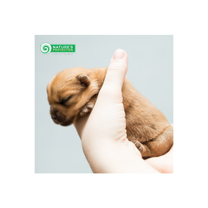 dry food for puppies of all breeds with salmon and krill - 11