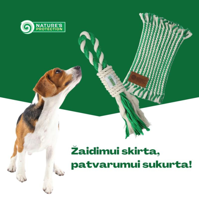 pet toy - 2