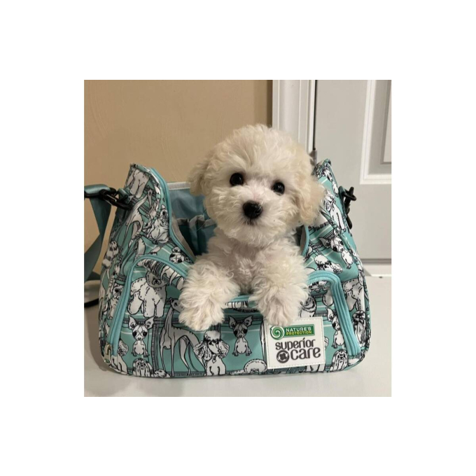 bag for groomers - 6