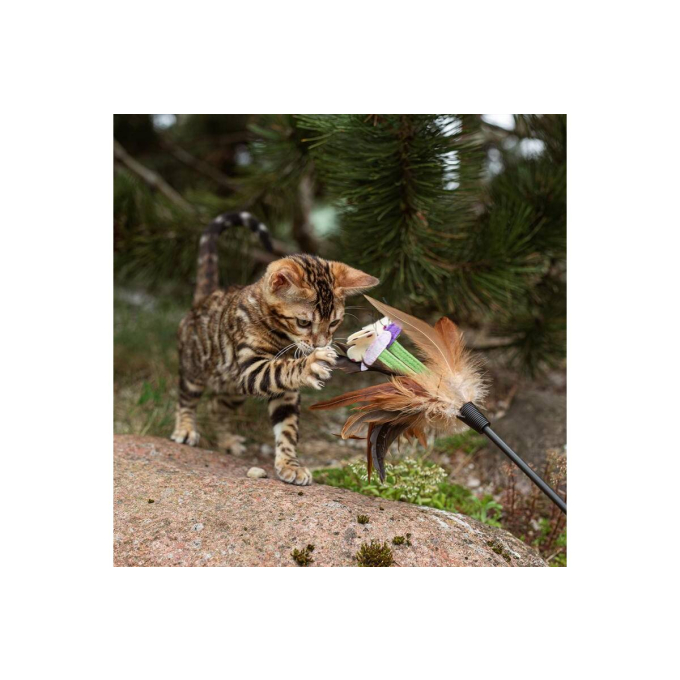 canned pet food for junior cats with ocean fish and chicken - 2