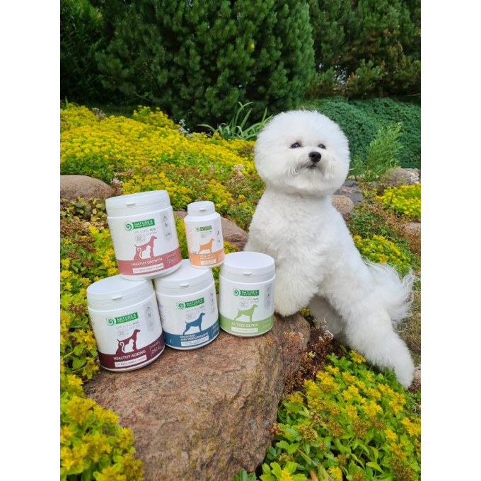 complementary feed for senior dogs and cats for teeth, joints &amp; bones - 4