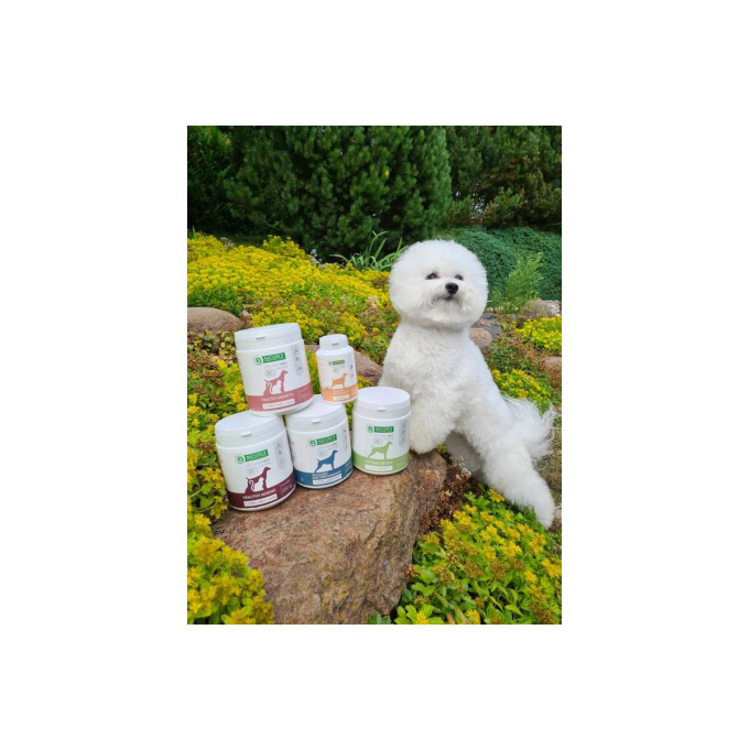 complementary feed for senior dogs and cats for teeth, joints &amp; bones - 4