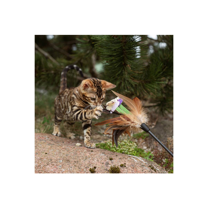 milk replacer for kittens for bone development &amp; healthy growth - 3