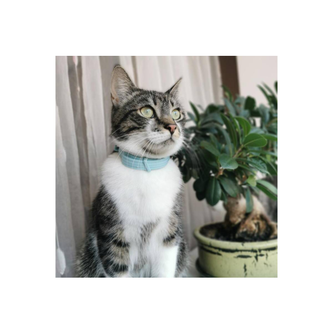 Malt paste, paste for cats promoting hair removal, - 3