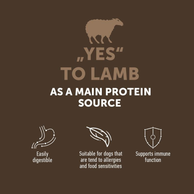 dry grain free food for adult dogs of all breeds - 2