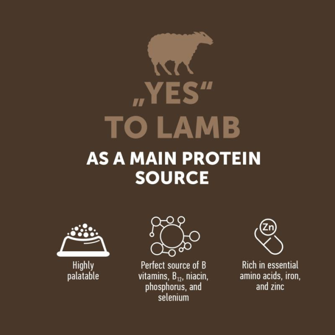 dry grain free food for adult dogs of all breeds - 3