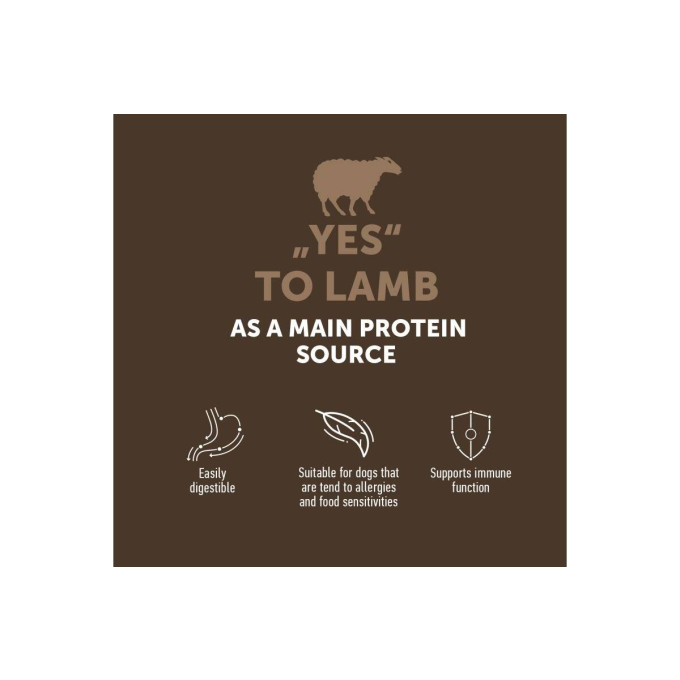 dry grain free food for adult dogs of all breeds - 2