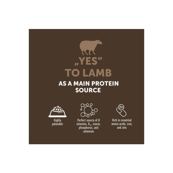 dry grain free food for adult dogs of all breeds - 3