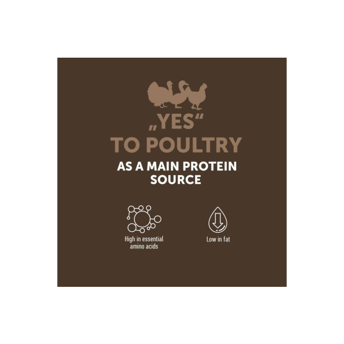 dry grain free food for adult dogs of all breeds with poultry - 4