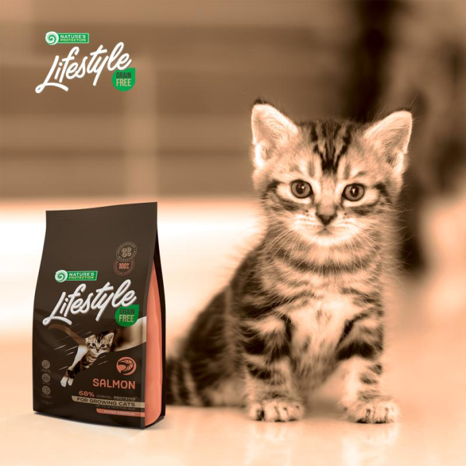 dry grain free food for kittens with salmon - 6