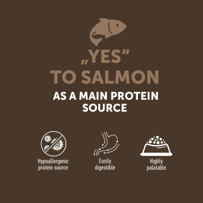 dry grain free food for senior cats with salmon - 2
